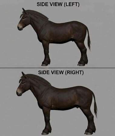 reference
